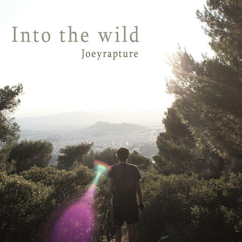 Into the wild album art