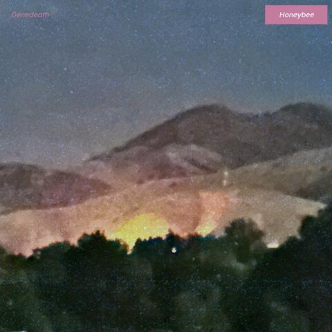 Honeybee album art
