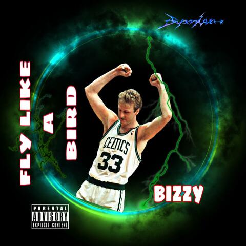 Fly Like A Bird album art