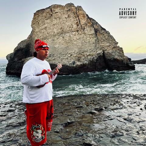 Fine Shyt album art