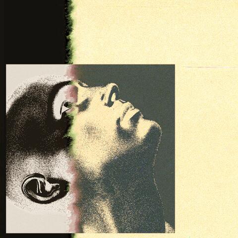 Amber Ashes album art
