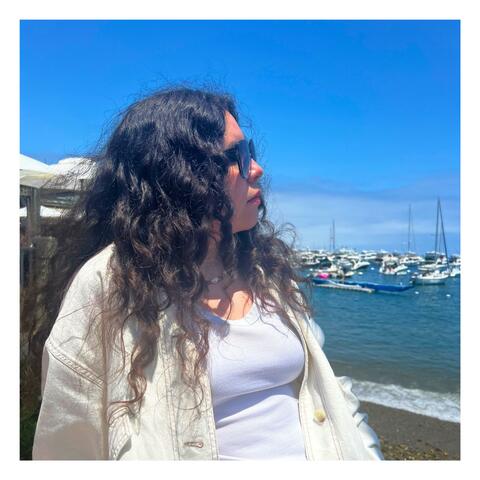 Catalina Island album art