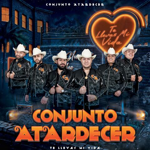 Te llevas mi vida album art