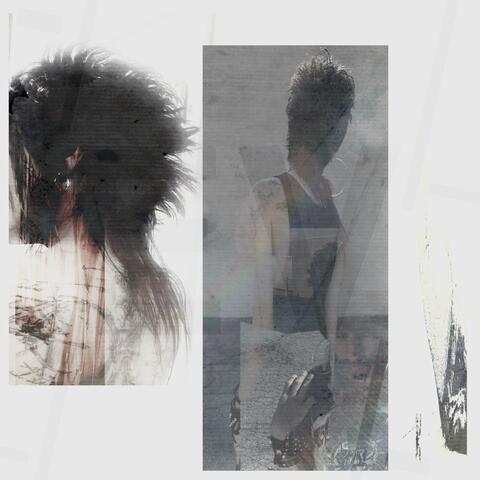 trademarked album art