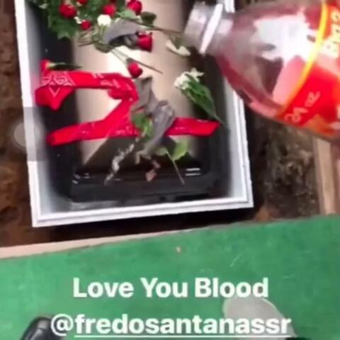 Hoes off da coco/rip fredo album art