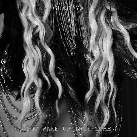 Not Wake Up This Time album art