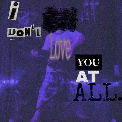 I don't love you at all. album art