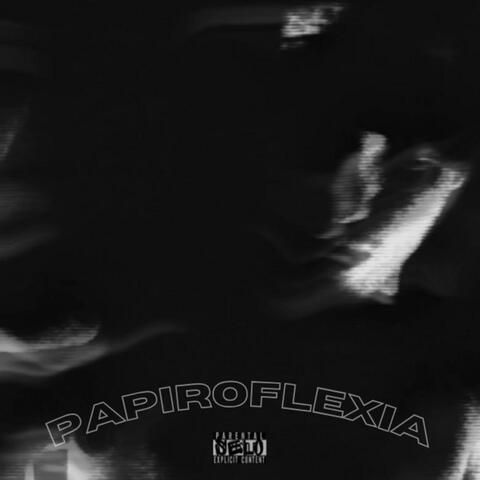 PAPIROFLEXIA album art