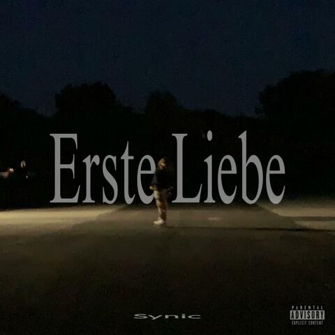 Erste Liebe album art