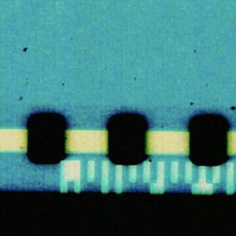 7 Bass Guitars In 7/8 album art