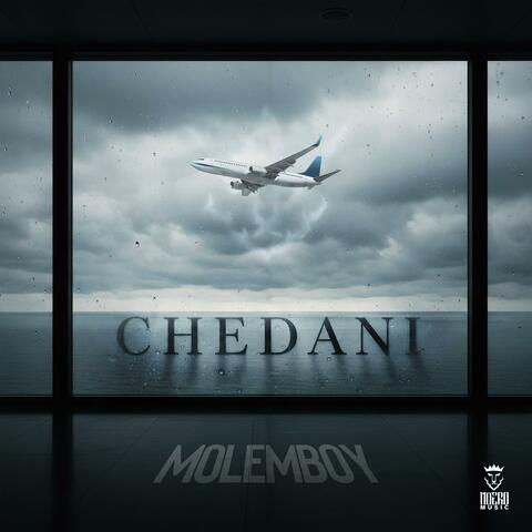 CHEDANI album art