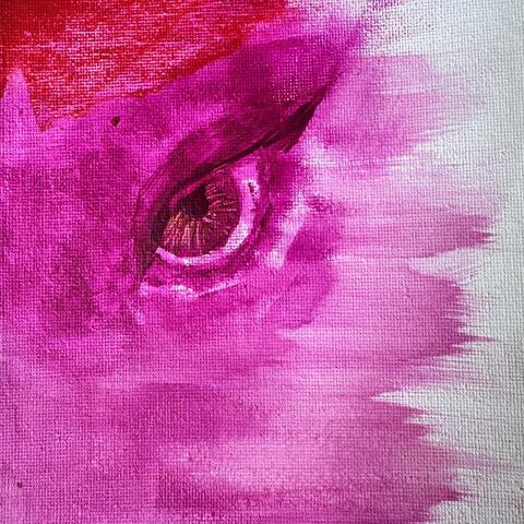 The Valley album art