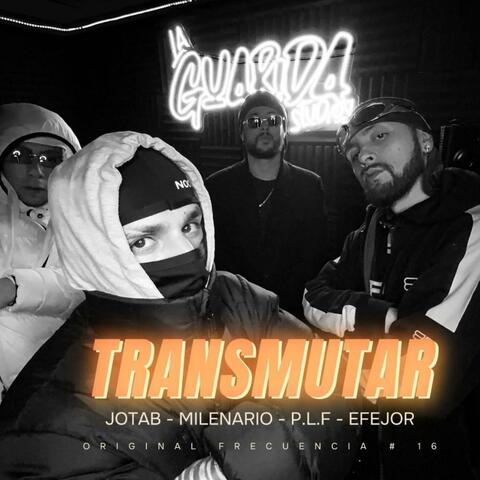 Trasmutar (Original frecuencia #16) (feat. P.L.F, Efe Jor, Jota B mc & Milenario) album art