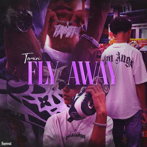 FLY AWAY album art