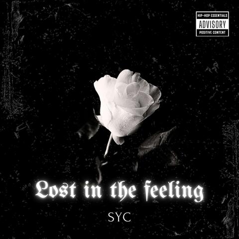 Lost In the feeling album art