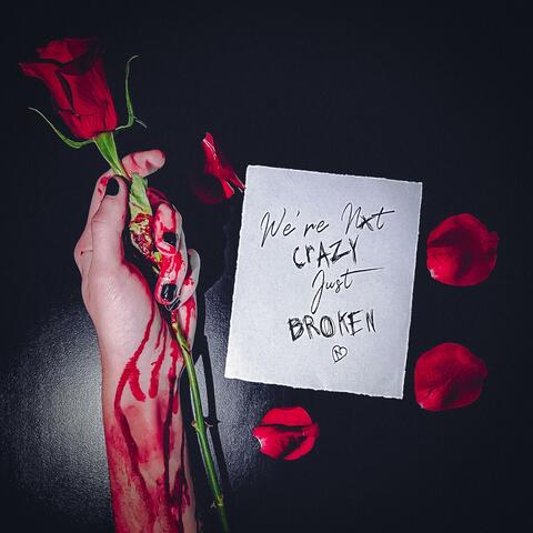 We're Not Crazy, Just Broken album art