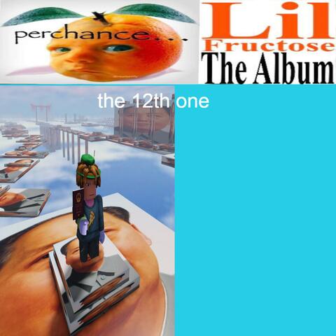Lil Fructose 12 album art