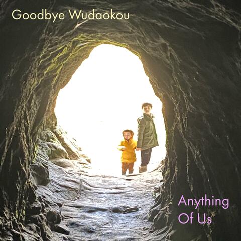 Anything Of Us album art