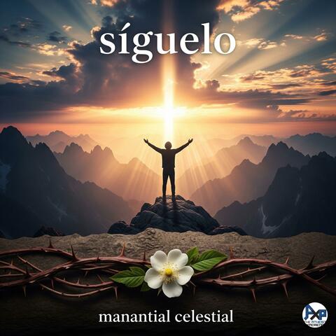 Canciones cristianas (Siguelo) album art