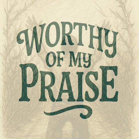 Worthy Of My Praise (Live) album art