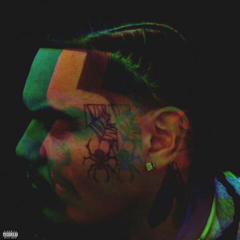 She Like album art