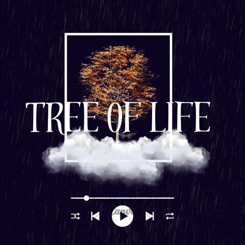COMO VIDA album art