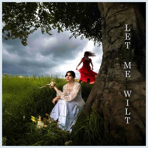Let Me Wilt album art