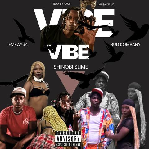 VIBE (feat. EMKAY64 & Bud Kompany) album art