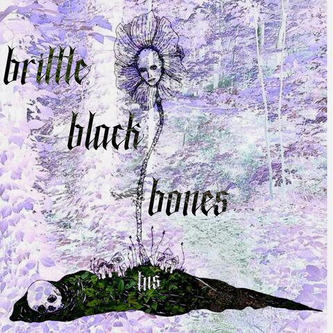 brittle black bones album art