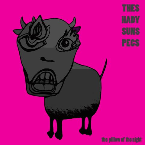 The Pillow Of The Night album art