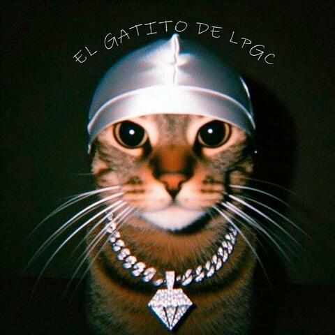 El Gatito de LPGC album art