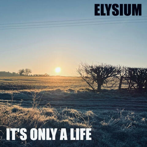 It's Only A Life (Single Version) album art