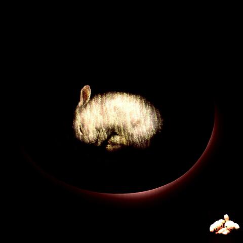 Follow the rabbit album art