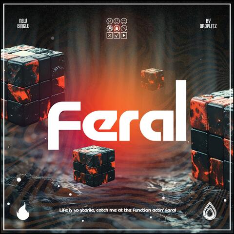 Feral album art