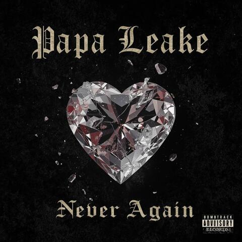 Never Again album art