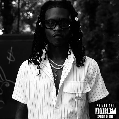 THE CHRONICLES OF A DON album art