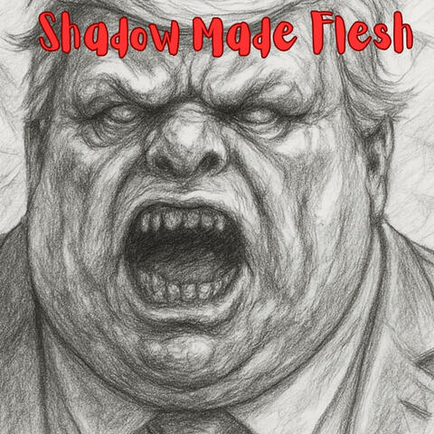 Shadow Made Flesh album art