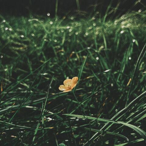 Dark Spots album art