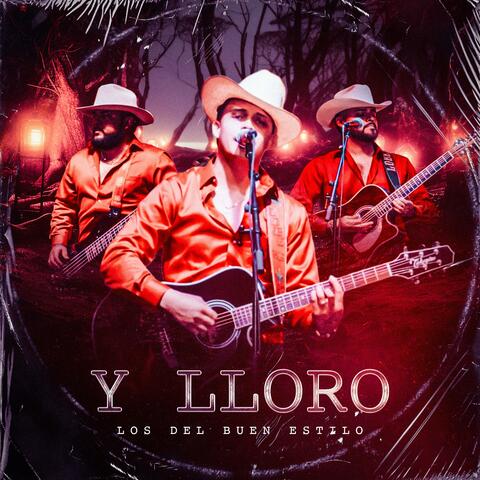 Y LLoro album art