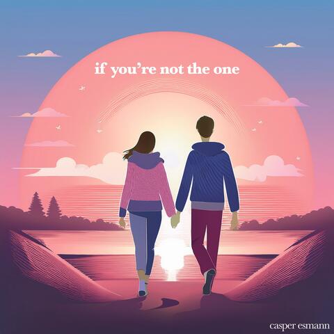 If You're Not The One (acoustic instrumental) album art
