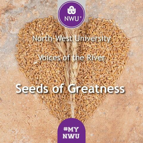 Seeds of Greatness album art