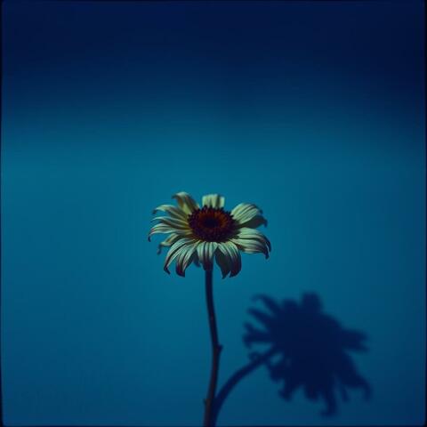 The Feel's album art