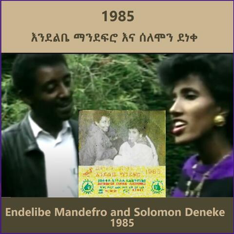 Endelibe Mandefro እንደልቤ ማንደፍሮ እና ሰለሞን ደነቀ - 1985 album art