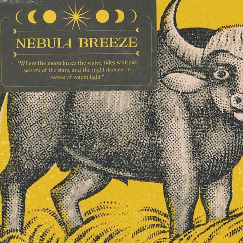In The Rhythm Of The Gentle Ox album art