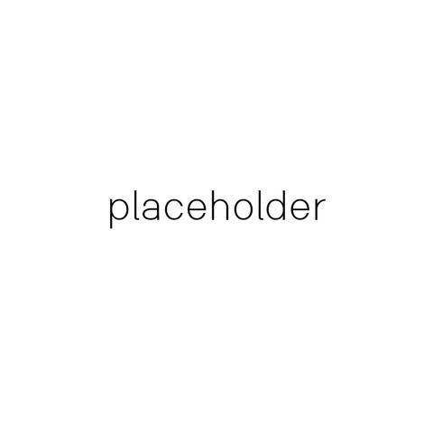 placeholder album art