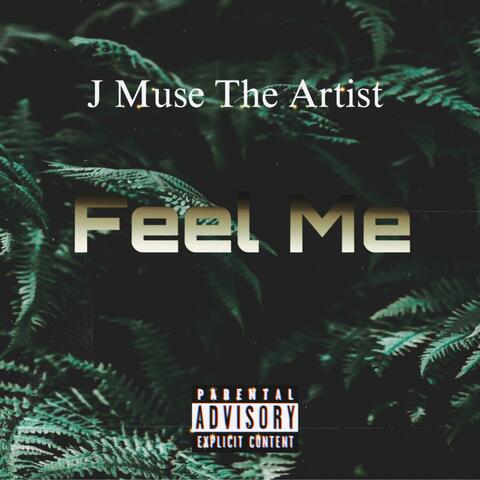 Feel Me album art