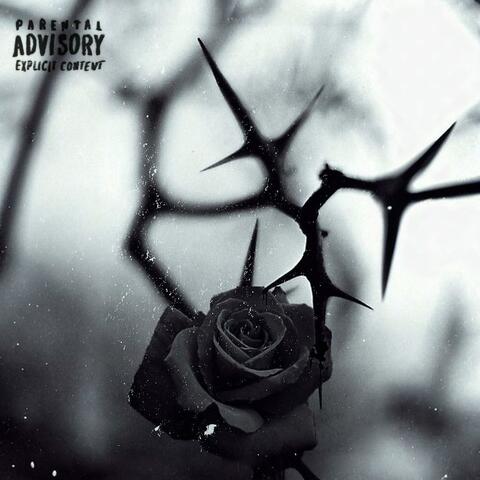 Thorns album art