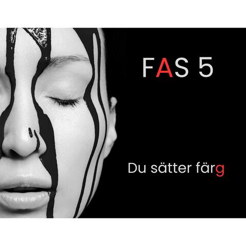 Du sätter färg album art