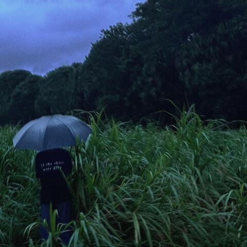 If the skies were grey, album art