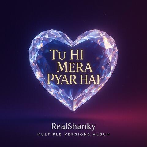 TU HI MERA PYAR HAI album art